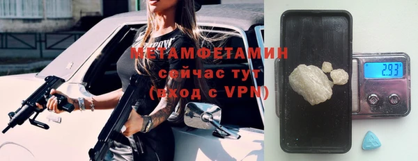 мет Алексин
