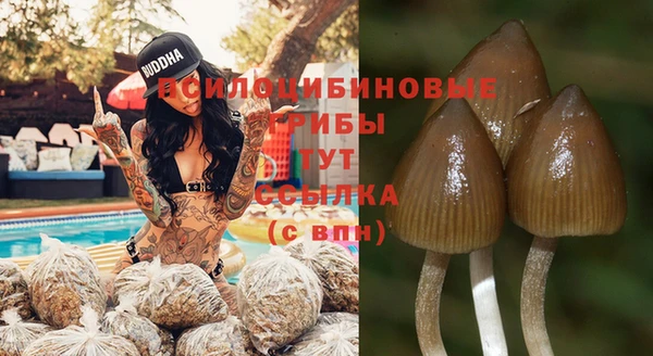 соль ск Покровск