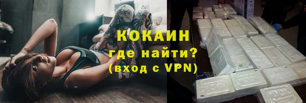 мет Алексин