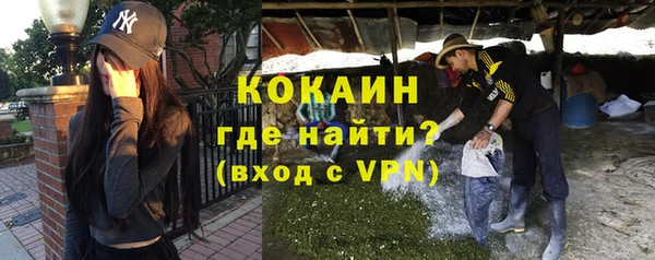 мет Алексин