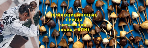 мяу мяу мука Ветлуга