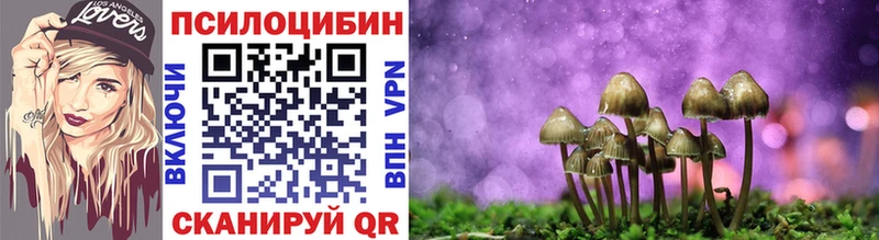 МЕГА онион  Бодайбо  Псилоцибиновые грибы прущие грибы 